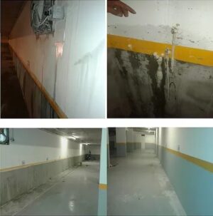 Filtraciones Edificio Vista Azul RVC